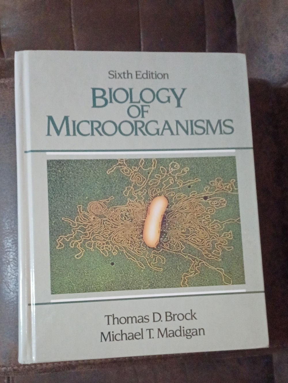 4/$60 Biology of Microorganisms - Sixth Edition Hardcover Book